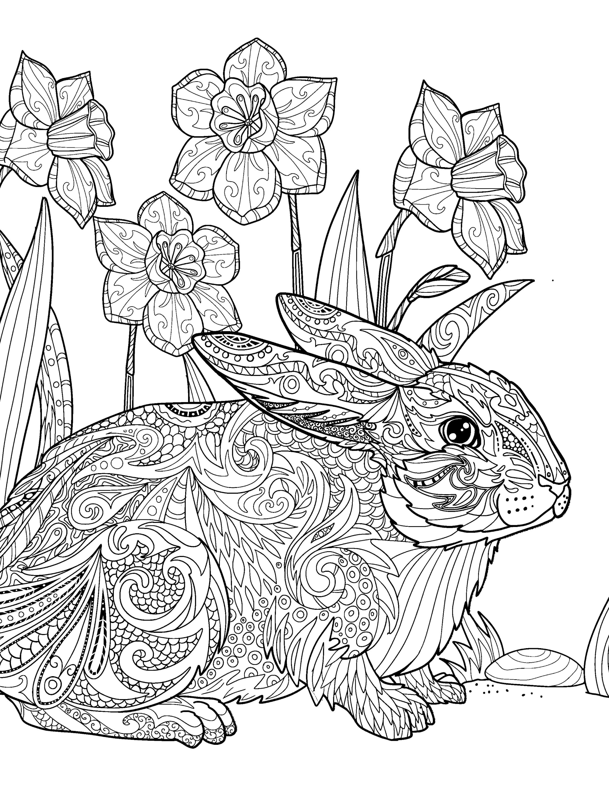 Раскраска Антистресс на Пасху кролик и нарциссы