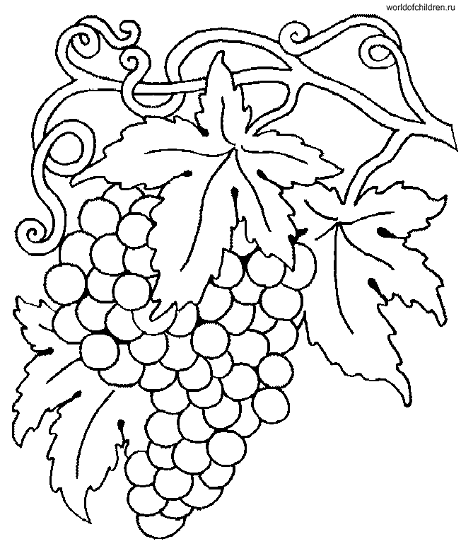 Раскраска виноград