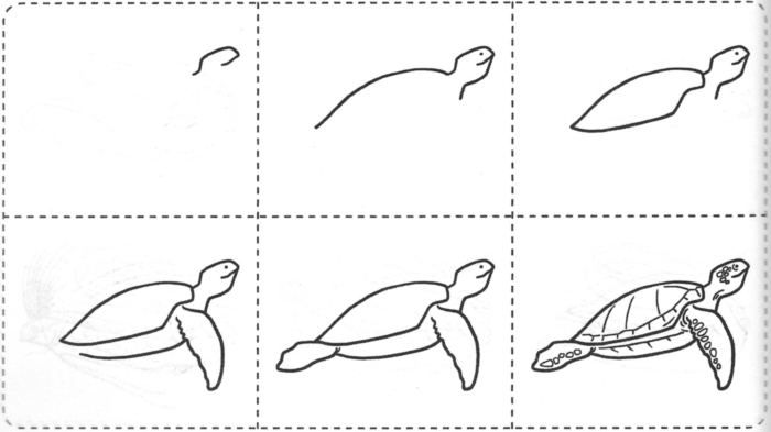 Рисуем морскую черепаху
