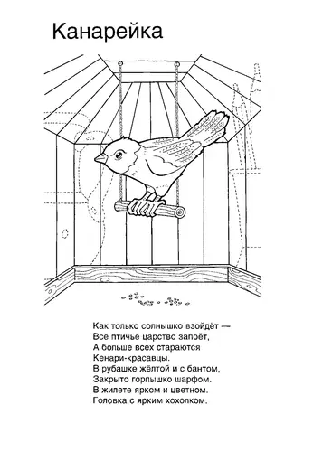 Раскраска Канарейка в клетке