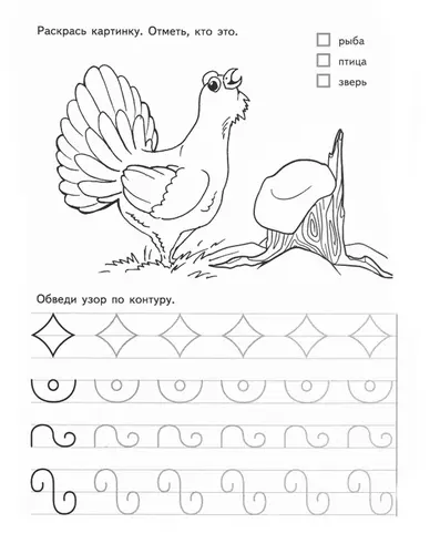 Что за птица? Раскрась и обведи