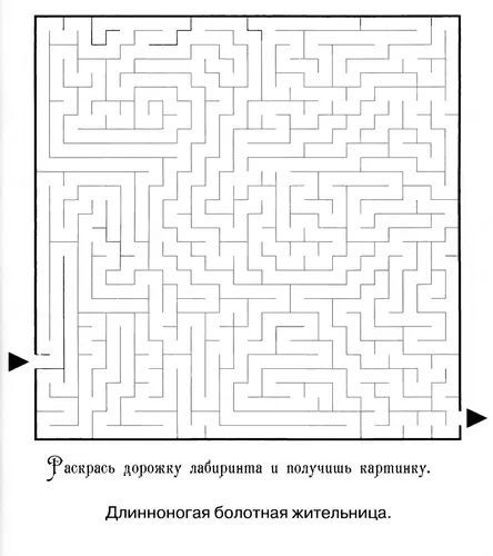 лабиринты для детей