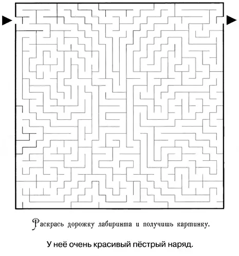 лабиринты раскраски для детей