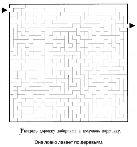 лабиринты раскраски для детей