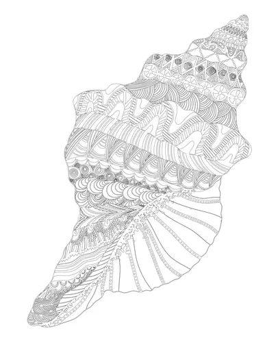 Раскраска Антистресс длинная острая ракушка