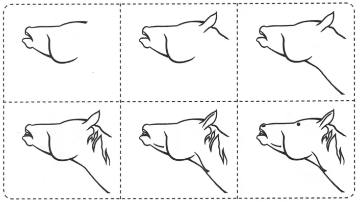 Учимся рисовать лошадь