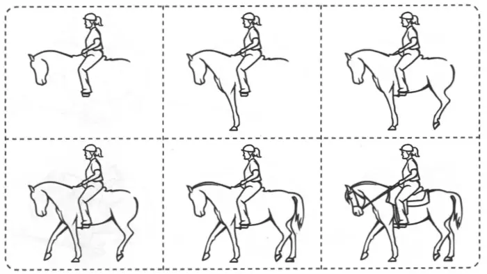 Учимся рисовать лошадь и всадника