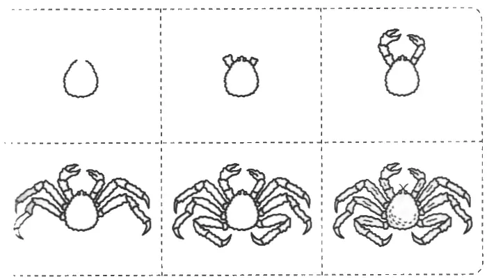 Учимся рисовать рыб и краба
