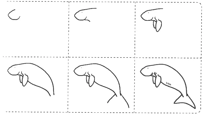 Учимся рисовать дюгоня