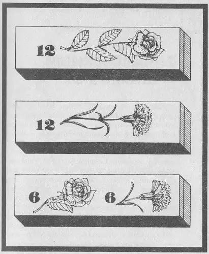 головоломка с цветами
